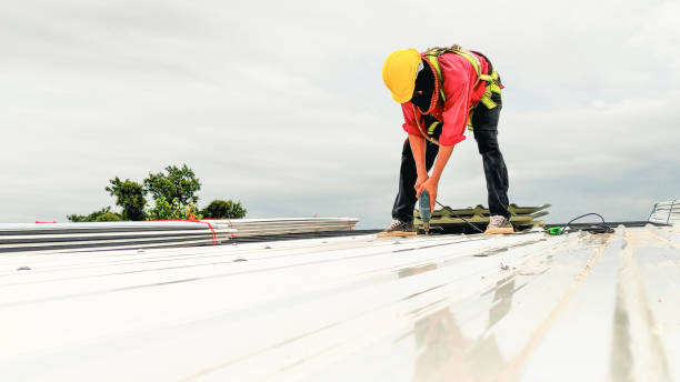 Best Chimney Flashing Repair  in Pantego, TX