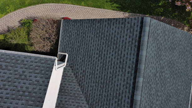 Best Chimney Flashing Repair  in Pantego, TX